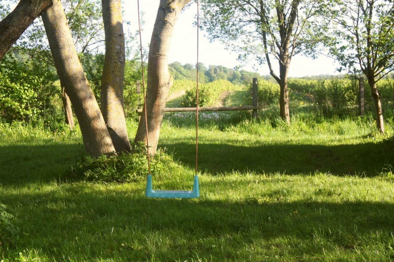 Forsthof Niendorf Apartman Teterow Kültér fotó